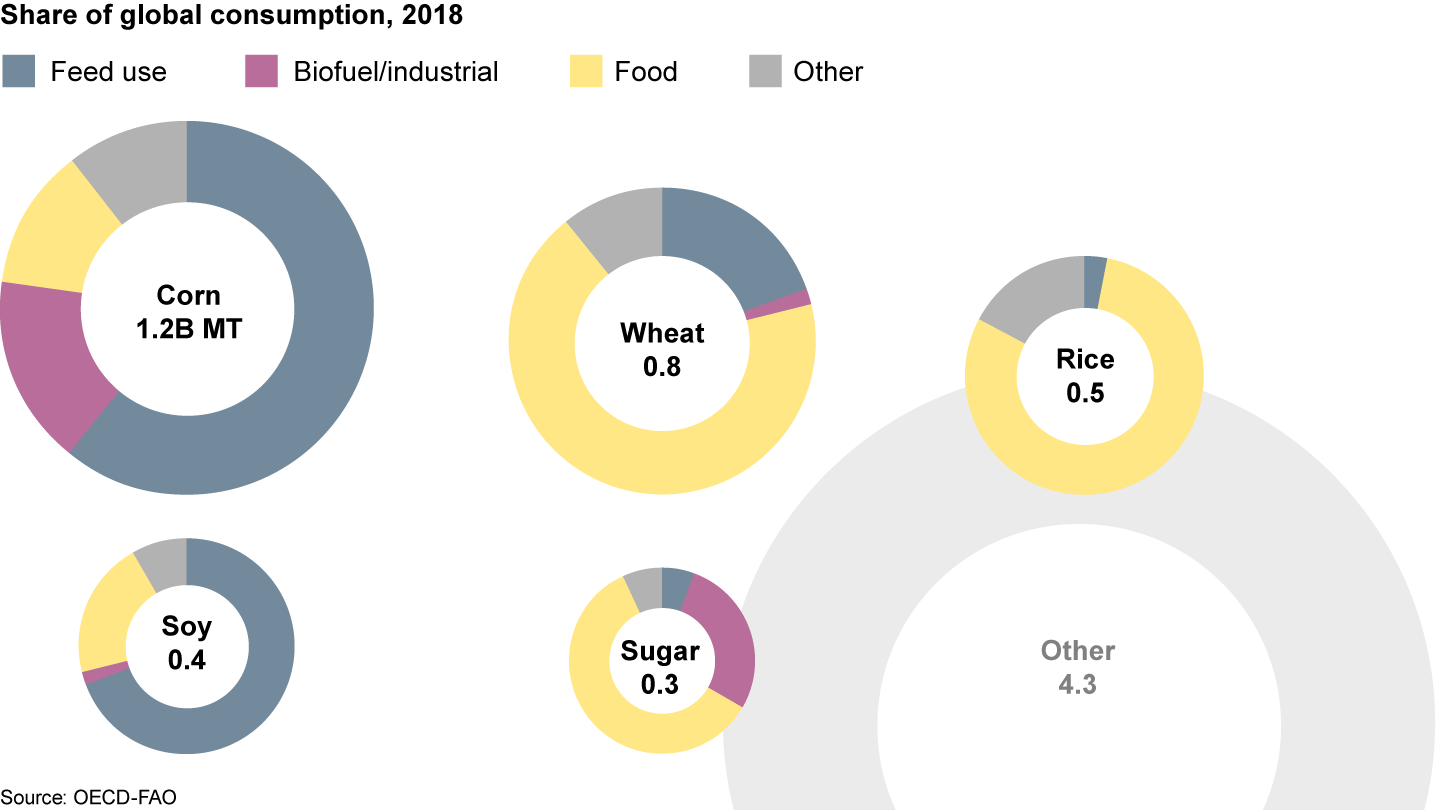 Corn and soy are among the world’s most important crops; most of the supply is used for purposes other than human food