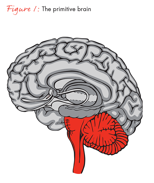 the-science-of-centeredness-fig01_embed