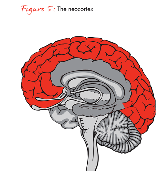 the-science-of-centeredness-fig05_embed